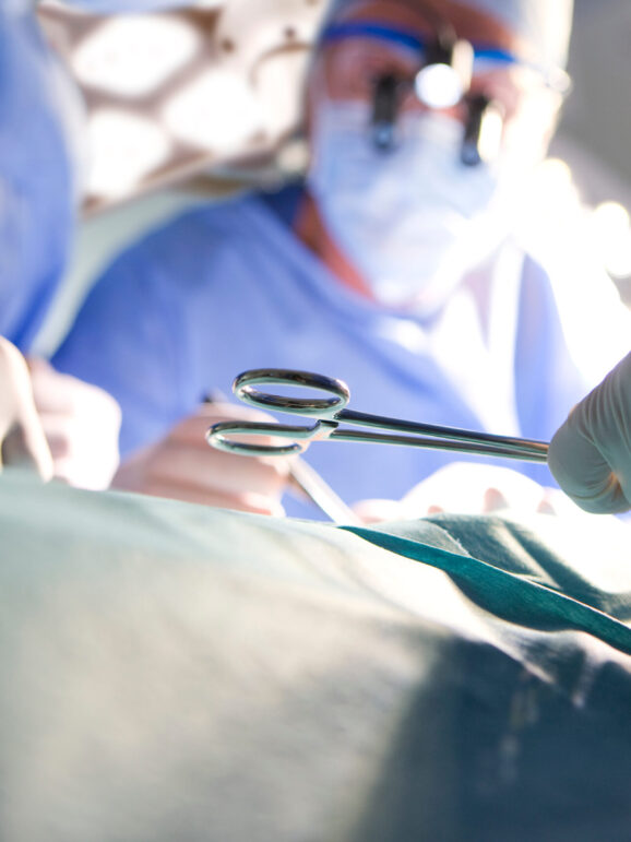 Kleien ambulante Operationen in der Hausarztpraxis Ärzte am Markt in Buchholz