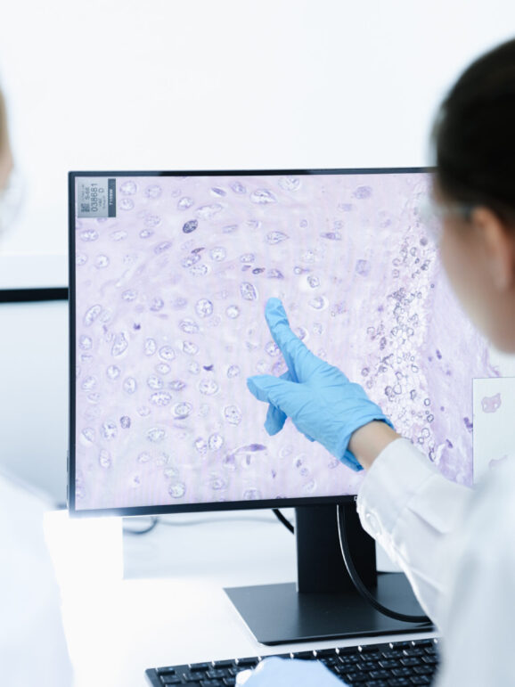 A pharmaceutical Quality Control QC team ensures GxP compliance. Diagnostik und Laboruntersuchungen